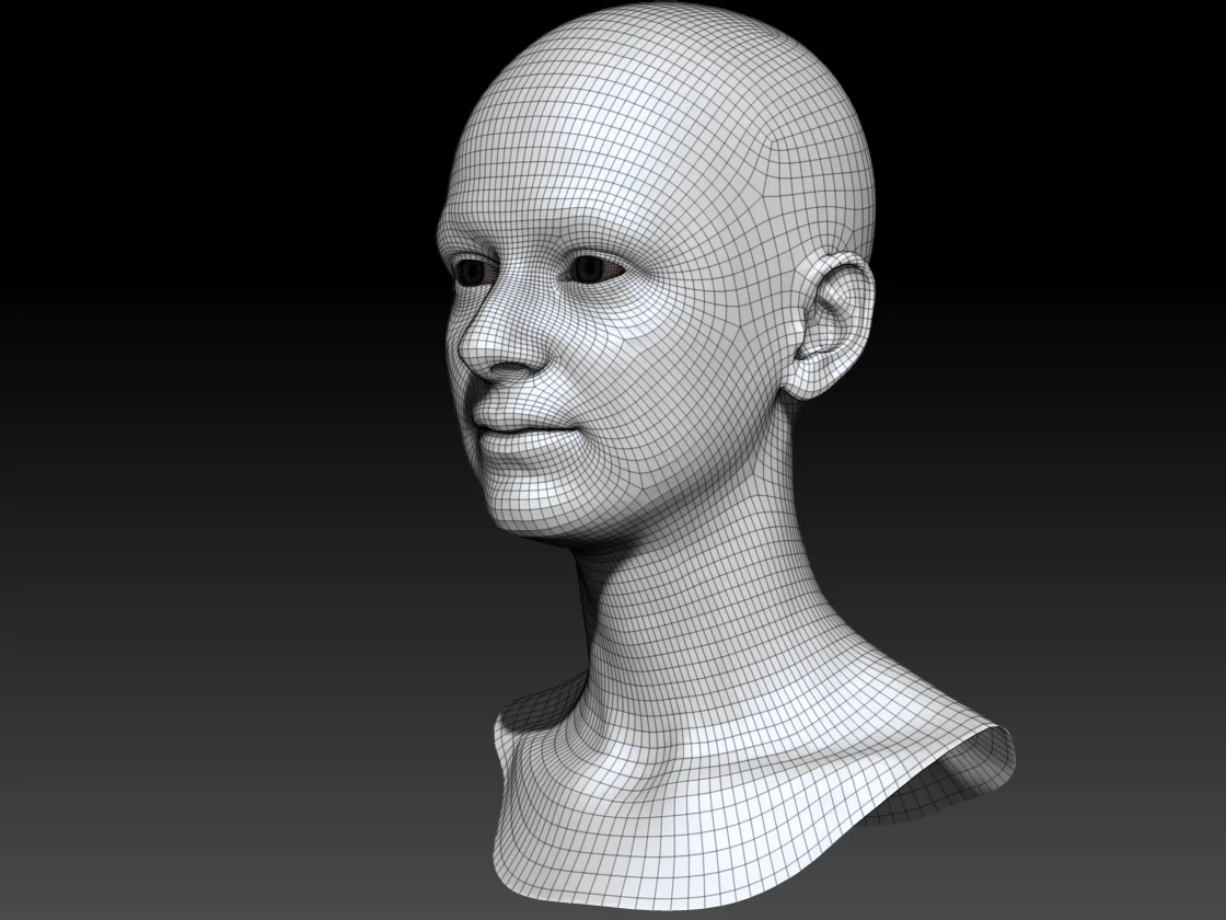 Human heads and FACS scans Render